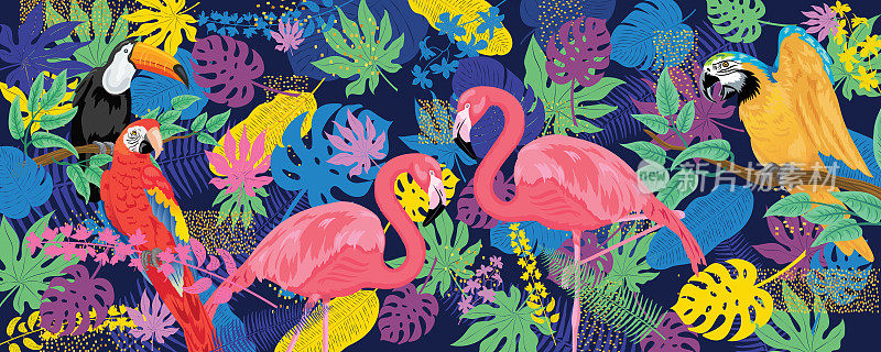 Tropical Web Banner With Flamingos parrots and Toucans